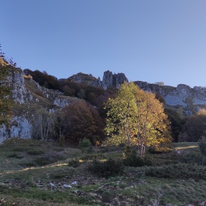 Chiusura uffici 31 ottobre 1 novembre 2022