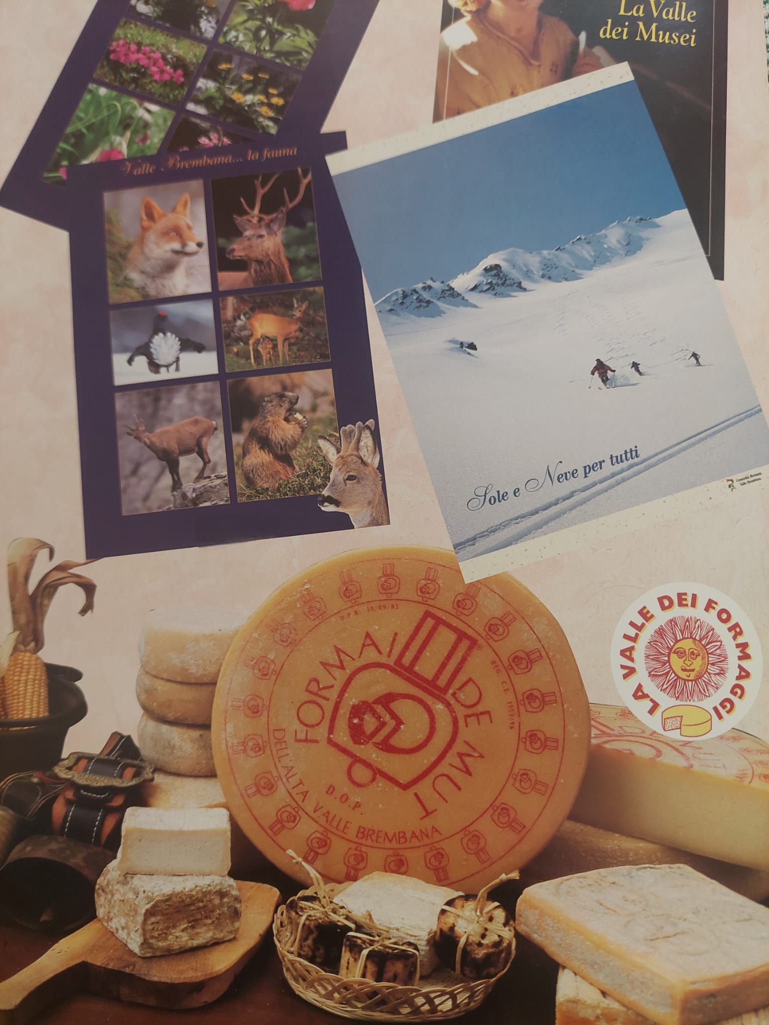 immagine Il ruolo dell'agricoltura per lo sviluppo della montagna