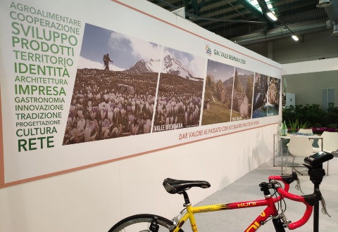 immagine Fiera Sant' Alessandro 2021