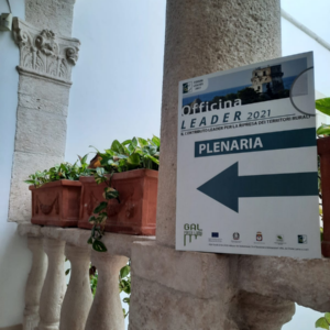  Il GAL Valle Brembana 2020 protagonista alla seconda edizione del Congresso Nazionale dei GAL sulla ripartenza dei territori 