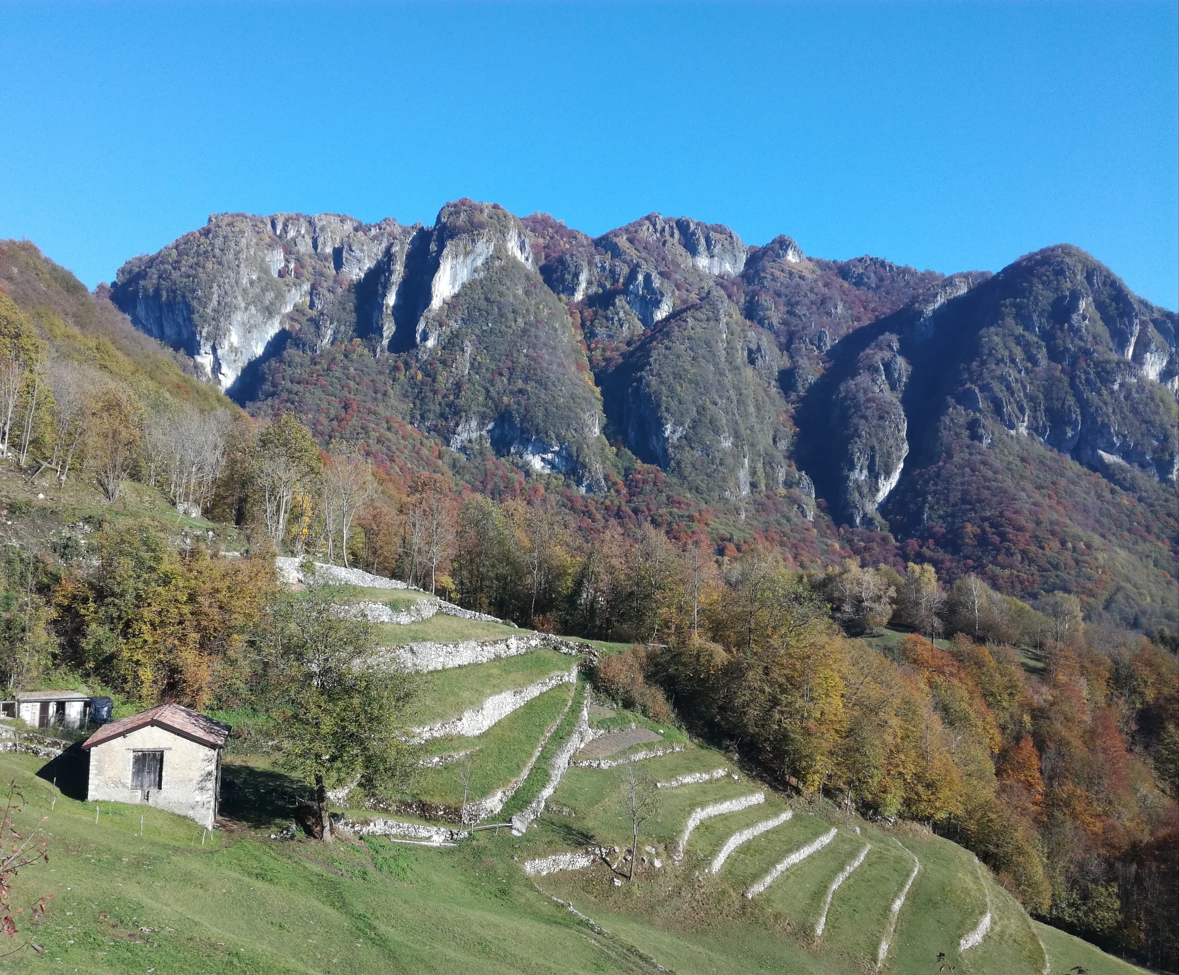 IMG_20211028_151643 IMG_20211028_151643