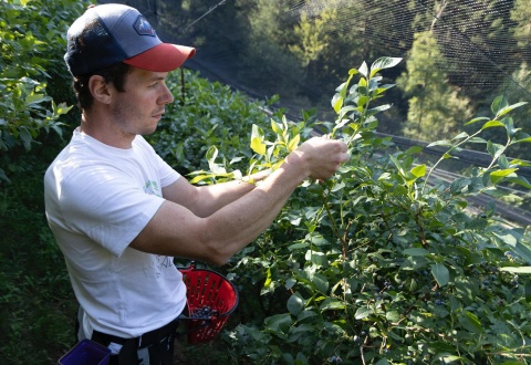 immagine Orobikeando | Press Tour