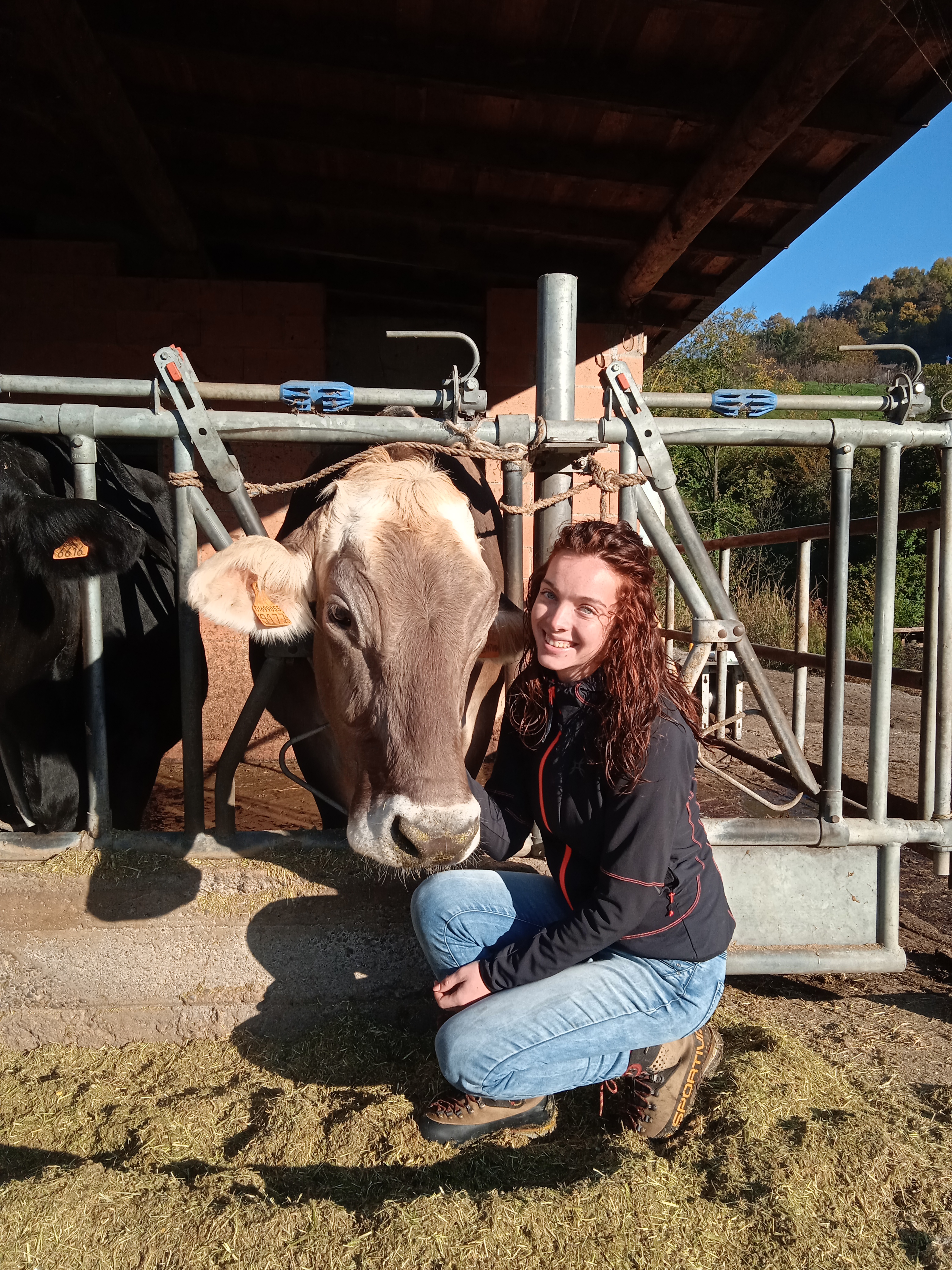 IMG_20211027_095541_1 IMG_20211027_095541_1