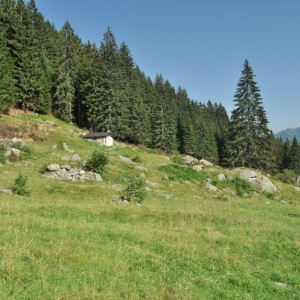 Intervento SRD07 - Investimenti in infrastrutture per l’agricoltura e per lo sviluppo socio-economico delle aree rurali - AMBITO 2