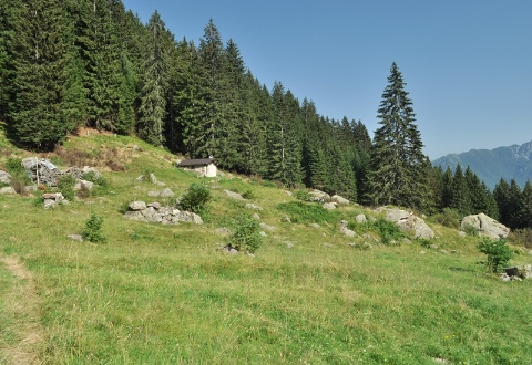 immagine Orobikeando | Press Tour