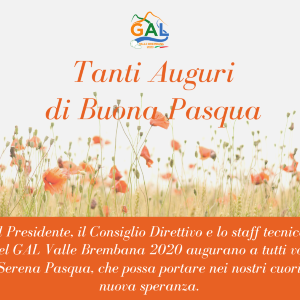 Auguri