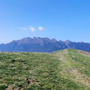 Intervento SRD04 - Investimenti non produttivi agricoli con finalità ambientale - AMBITO 1