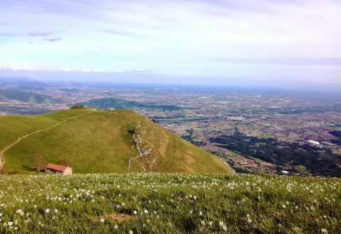 immagine Territorio