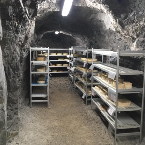 Finanziato da Regione Lombardia il progetto CHEESEMINE - Percorso di sperimentazione della stagionatura dei formaggi nelle miniere di Dossena